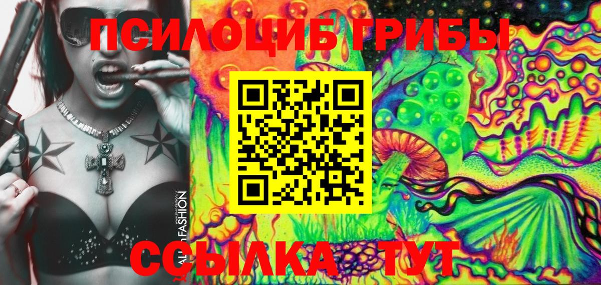 Псилоцибиновые грибы Psilocybine cubensis  Вход с VPN  Галлюциногенные грибы MAGIC MUSHROOMS  Заринск 